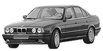 BMW E34 P2831 Fault Code